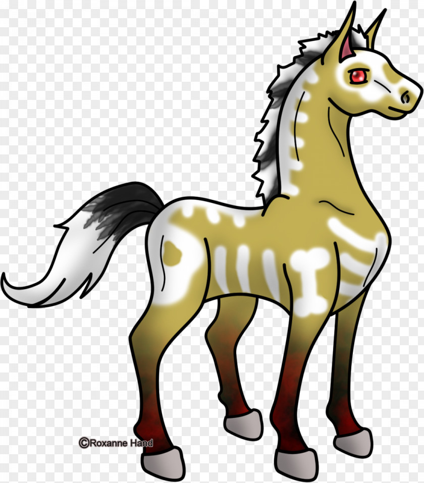 Mustang Donkey Pack Animal Freikörperkultur Clip Art PNG