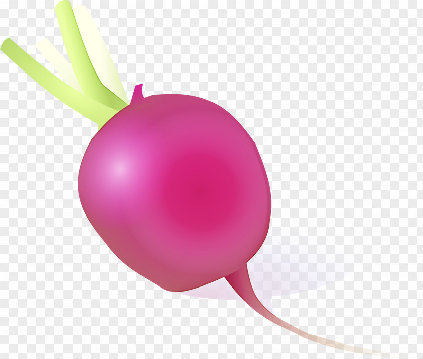 Party Supply Magenta Radish Pink Vegetable Balloon Turnip PNG
