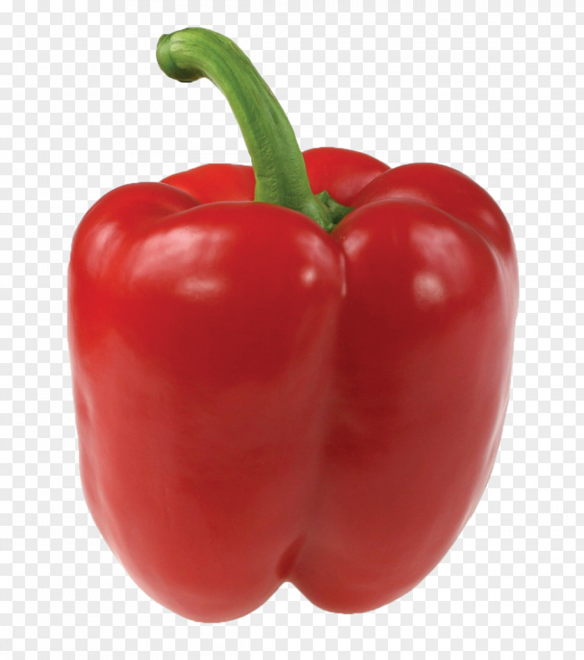 Pepper Green Bell Chili Fruit Clip Art PNG