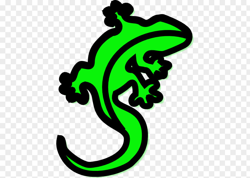 Pictures Of Cartoon Lizards Lizard Drawing Gecko Clip Art PNG