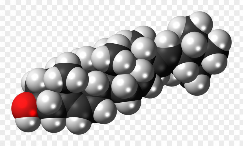 Color Filling Steroid Molecule Cholesterol Organic Compound Chemical PNG