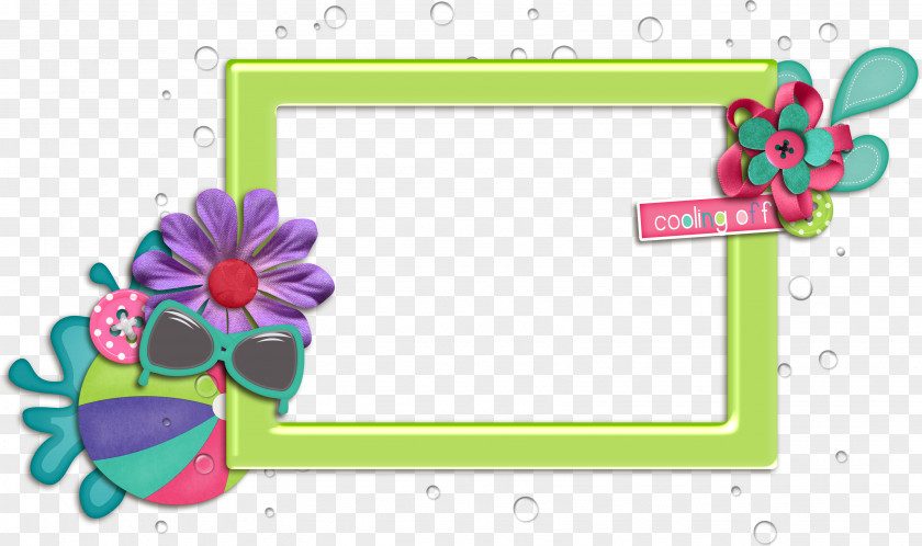 Frames Free Download Picture Frame Photography PNG