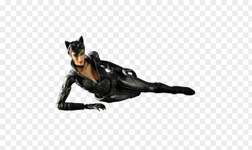 Knocked Catwoman Batman: Arkham City Hush Joker PNG