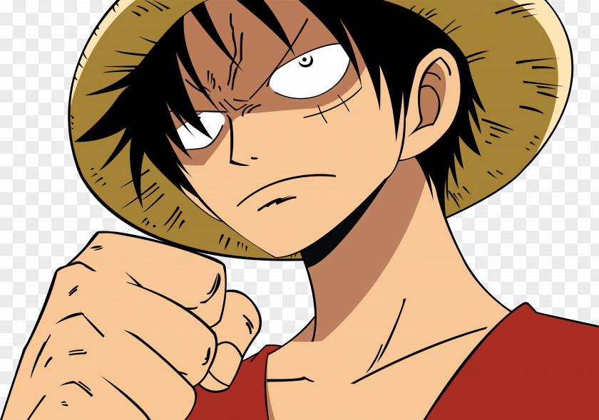 One Piece Monkey D. Luffy Portgas Ace 4K Resolution High-definition Television PNG