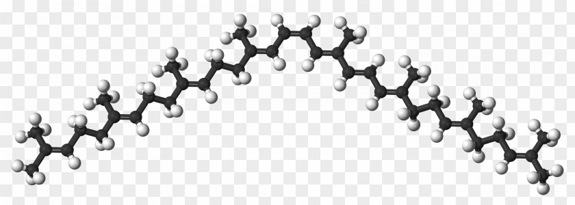 Rotation Phytofluene Phytoene Carotenoid Lycopene Geranylgeranyl Pyrophosphate PNG