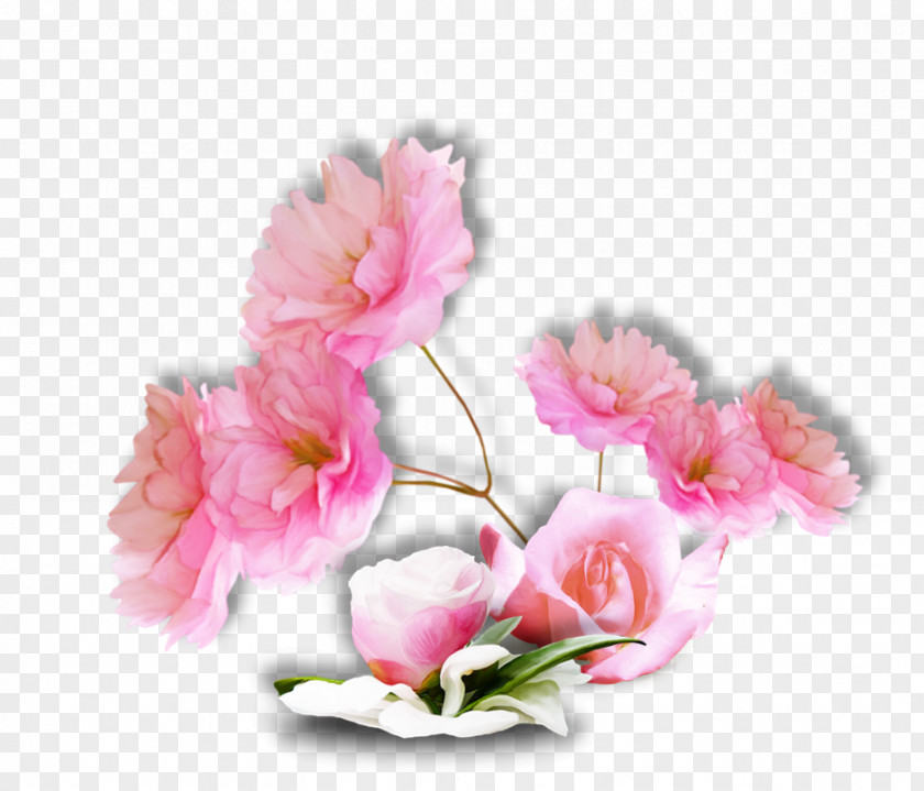 Amour Cut Flowers Artificial Flower Petal Heart PNG