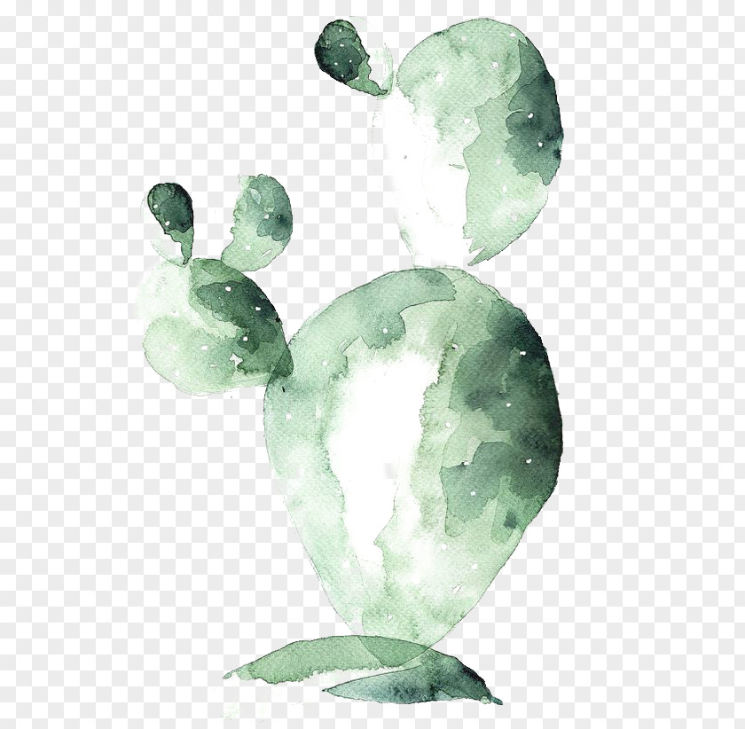 Cactus Poster Watercolor Painting Drawing Canvas PNG