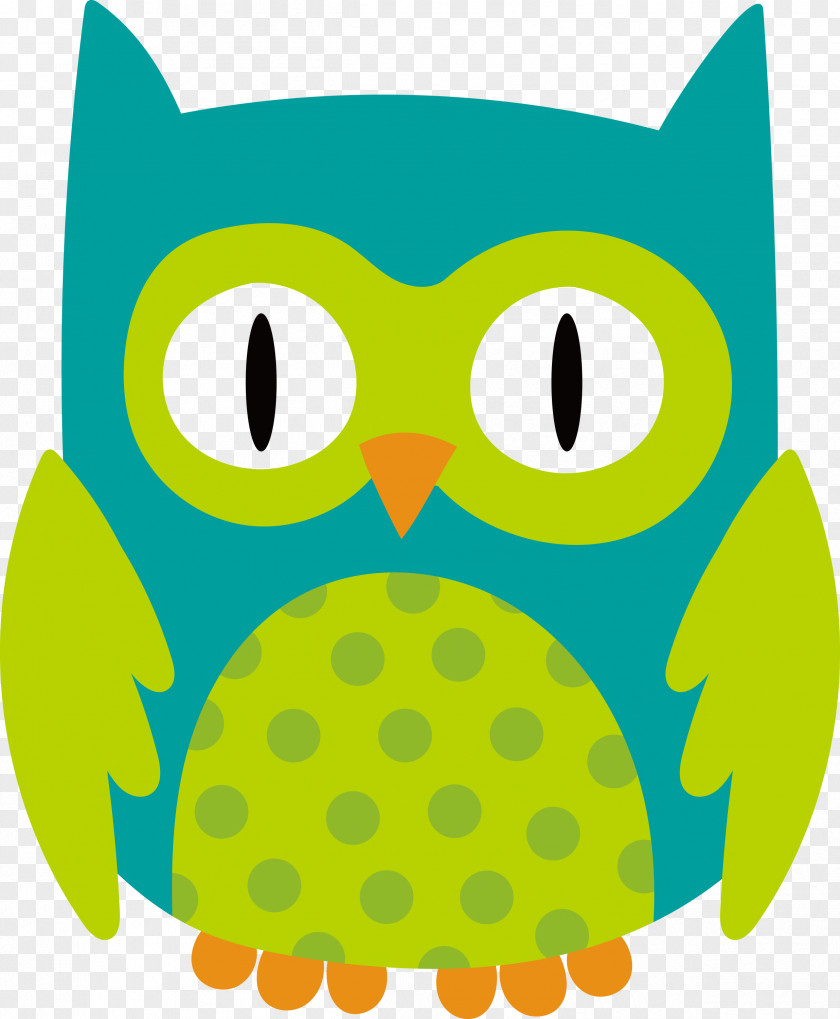 Cat Snout Owl M Birds Beak PNG