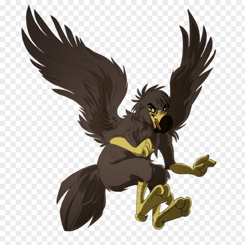 Eagle Bald Bird Of Prey Golden PNG