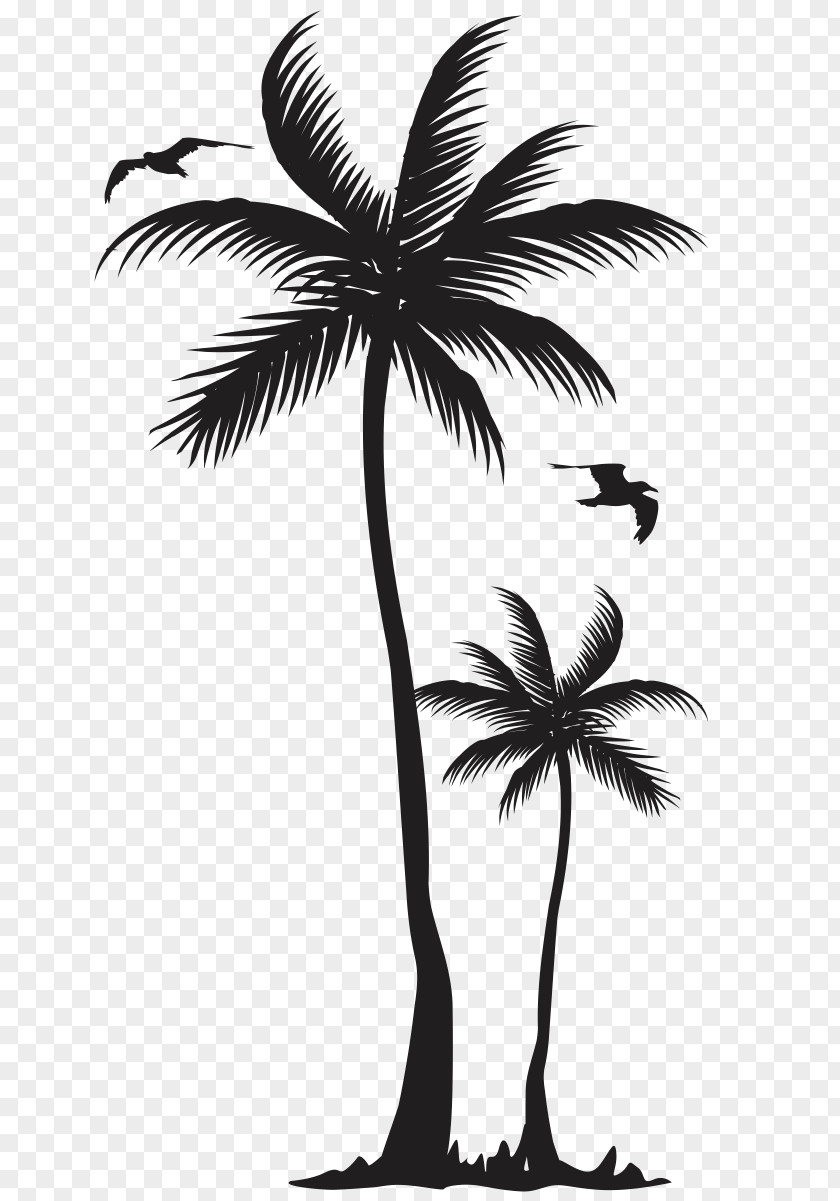 Monroe Vector T-shirt Arecaceae Coconut Tree Clothing PNG
