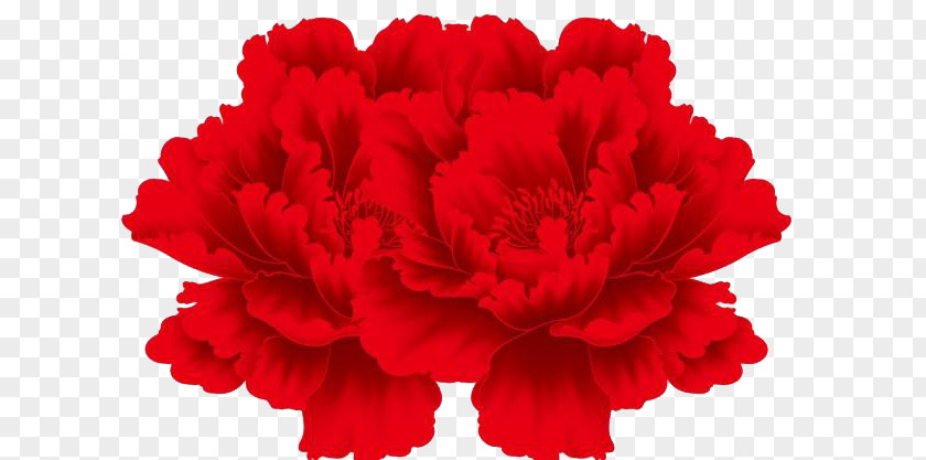 Red Peony Flower Drawing PNG