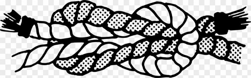 Rope Knot Clip Art Reef Drawing PNG