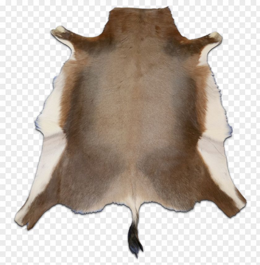 Antelope Fur PNG