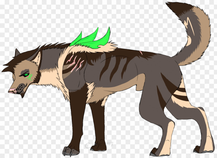 Comet Cat Animal Mammal Dog PNG