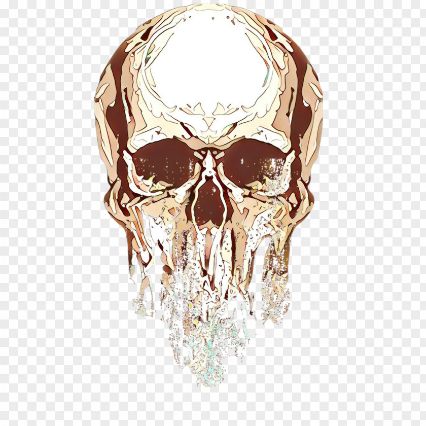 Facial Hair Jaw Head Skull Bone Human PNG