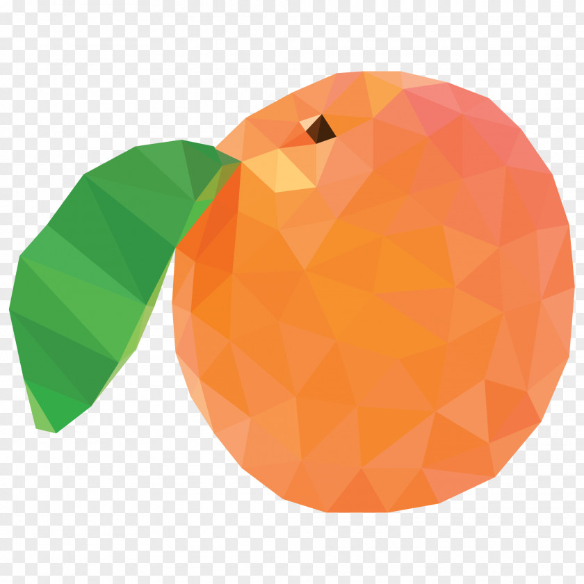 Fruit Vector Graphics Prunus Sect. Image PNG
