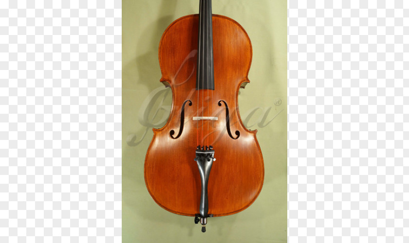 Violin Bass Violone Viola Double Cello PNG