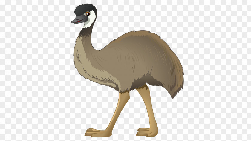 Emu Common Ostrich Drawing Photography PNG