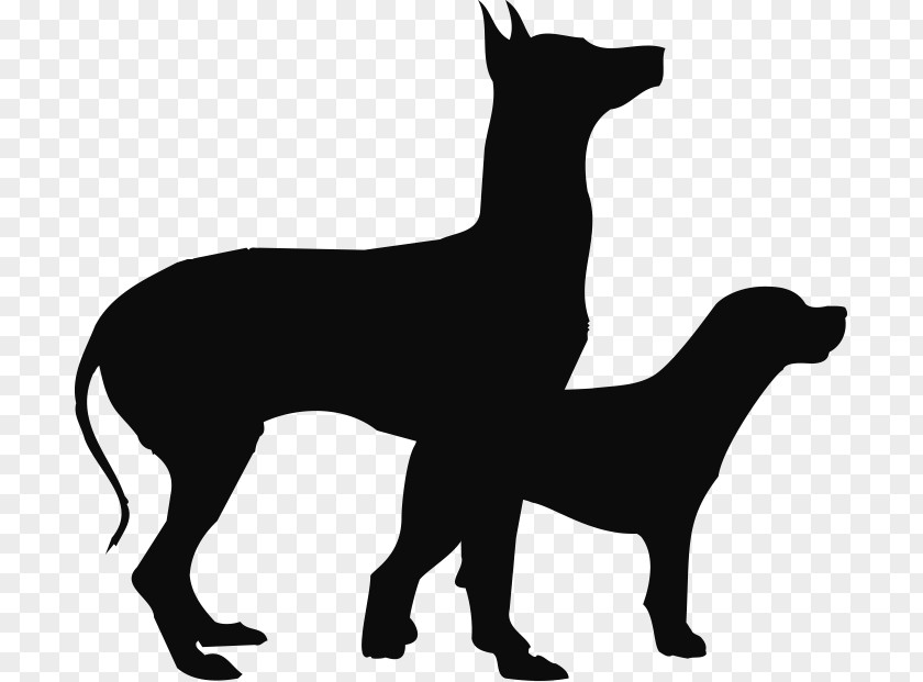 Silhouette Dog Breed Paper Non-sporting Group Black PNG