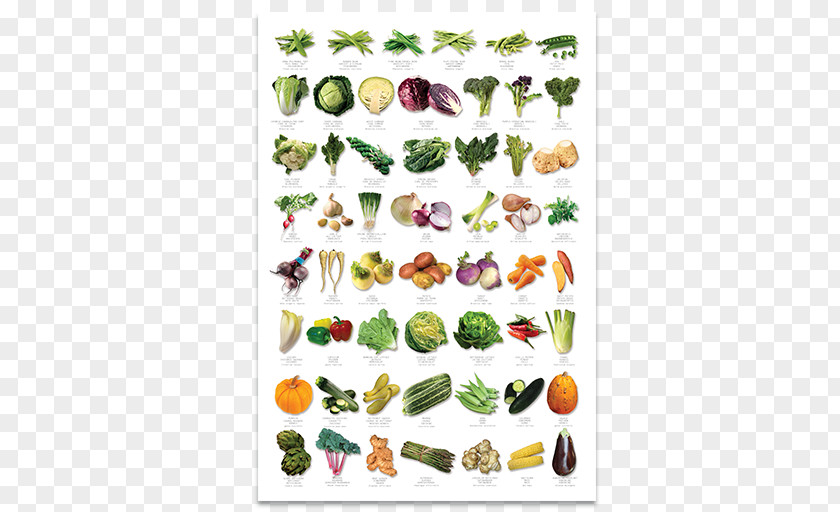 Vegetable Auglis Fruit English PNG