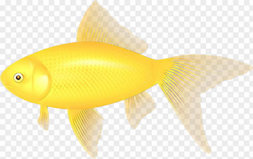 Fish Goldfish Fin Yellow PNG