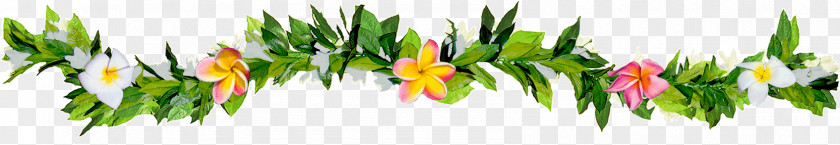 Hawaiian Lei Maui Frangipani Photography Plant Stem PNG