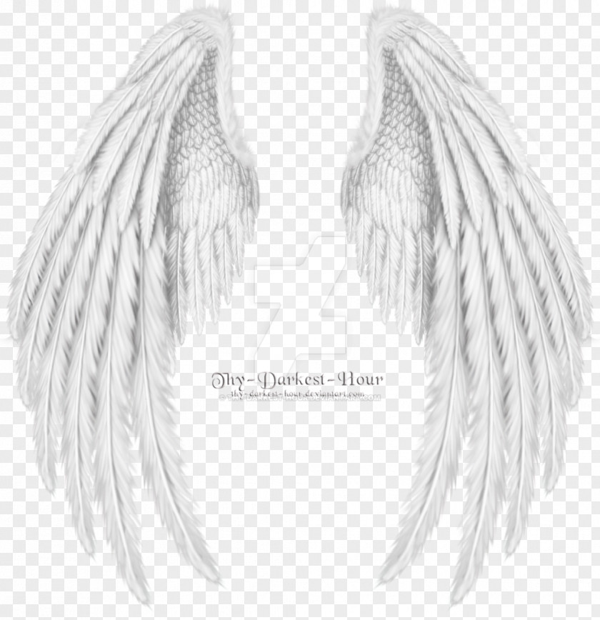 Angel Wings Drawing Clip Art PNG