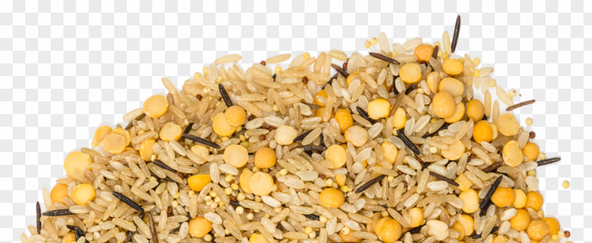 Brown Rice Cereal Germ Vegetarian Cuisine Superfood PNG
