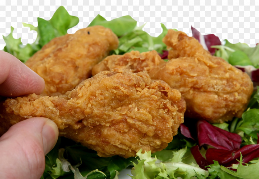 Delicious Fried Chicken Hamburger Kebab Apple Pie PNG