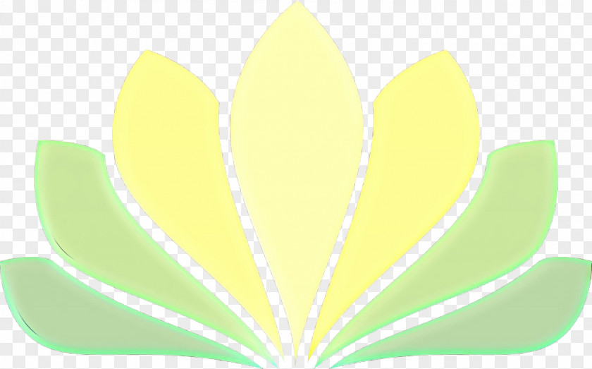 Flower Petal Leaf Green Yellow Clip Art Plant PNG