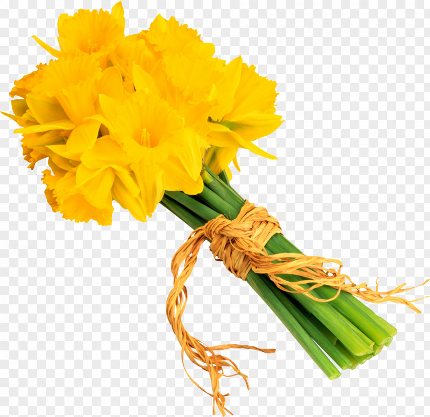 Flower Yellow Daffodil Narcissus Wedding PNG