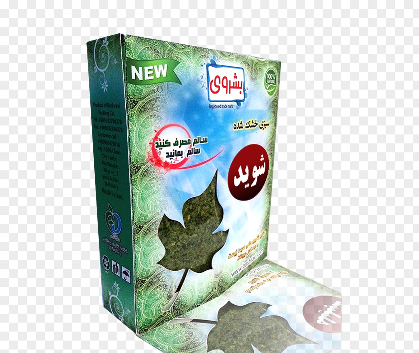 Mint Āsh Ghormeh Sabzi Herb PNG