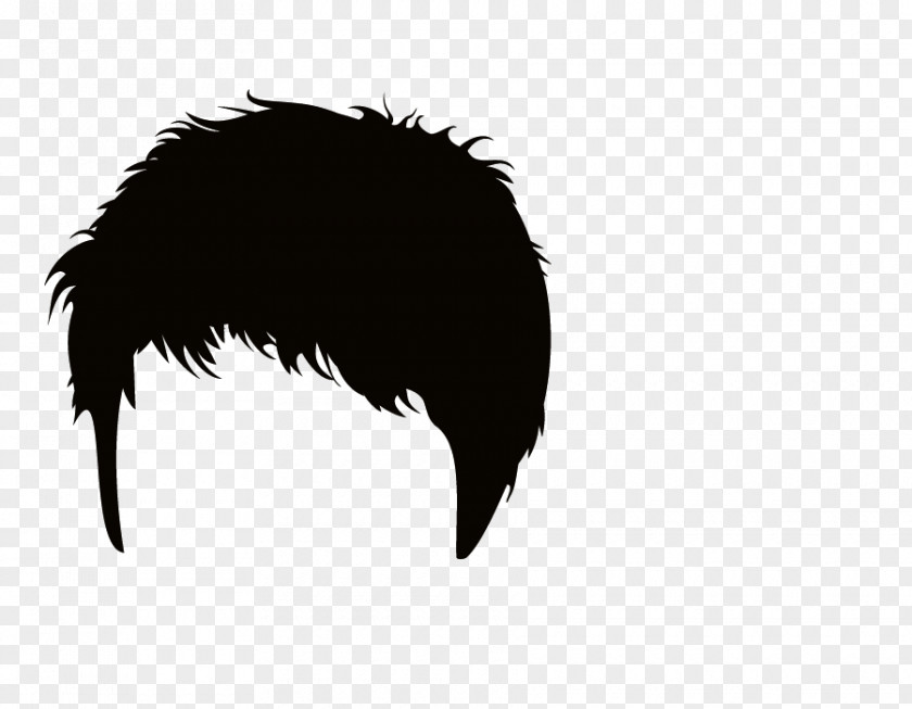 Hair Hairbrush Comb PNG