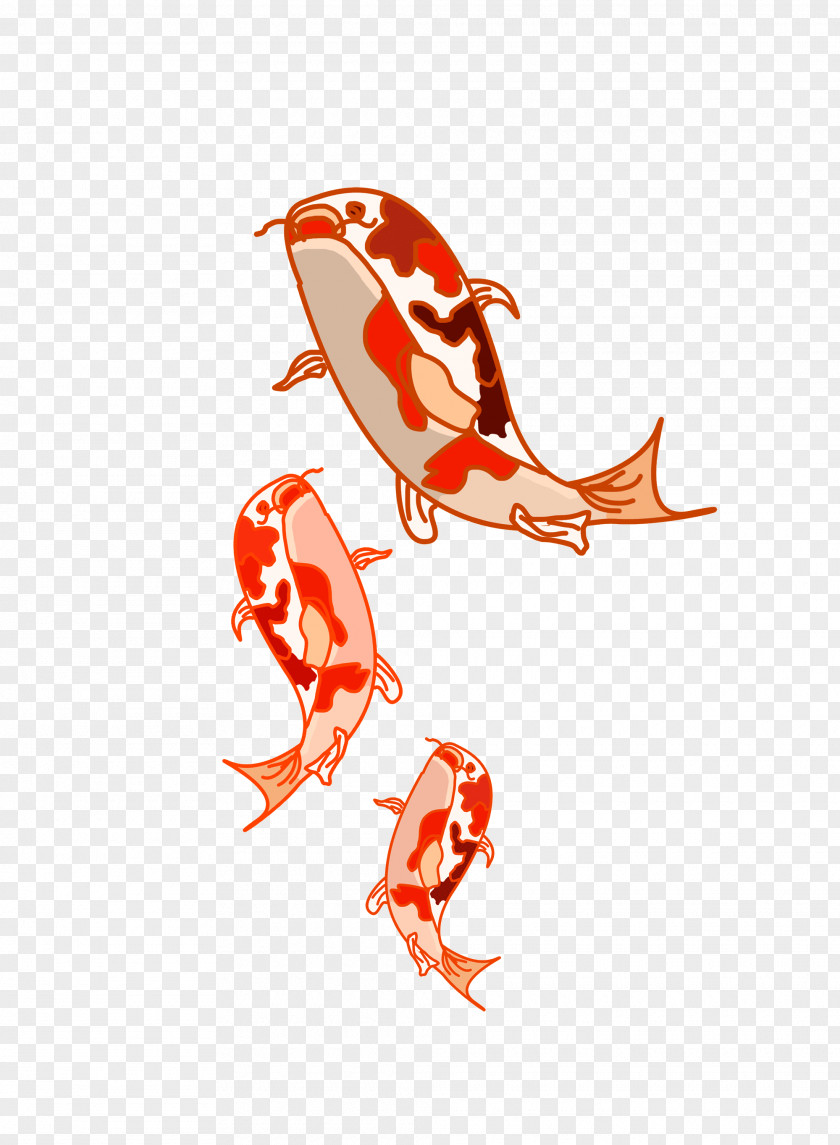 Koi Fish Illustration Clip Art Vector Graphics PNG