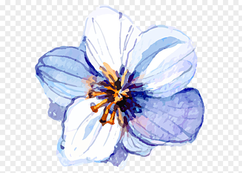Lili Flower Aromatherapy Odor Meditation Petal Milk Bath PNG