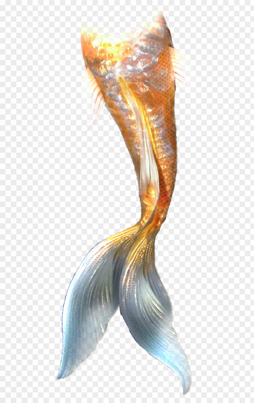 Mermaid Tail Ariel Rusalka PNG