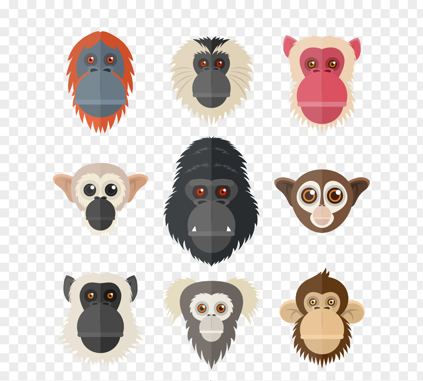 Monkeys And Apes Primate Orangutan Chimpanzee Euclidean Vector Monkey PNG