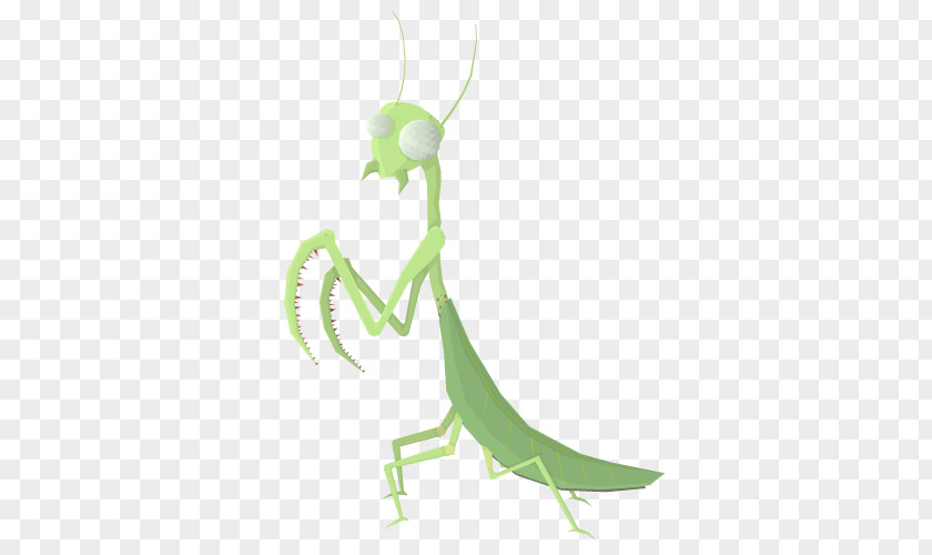 Praying Insect Sloth Animal Giraffe Mantis PNG