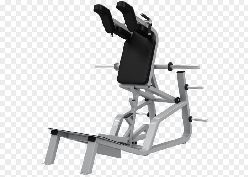 Sale Black Friday Precor Incorporated Exercise Equipment Bench Squat Strength Training PNG