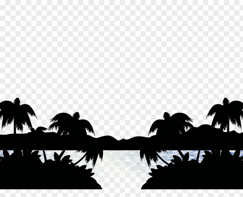 Palm Beach Download PNG