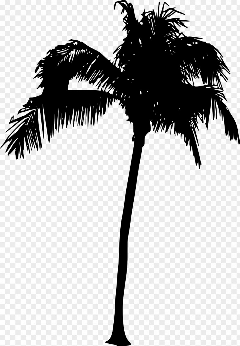 Tree Silhouette Arecaceae PNG