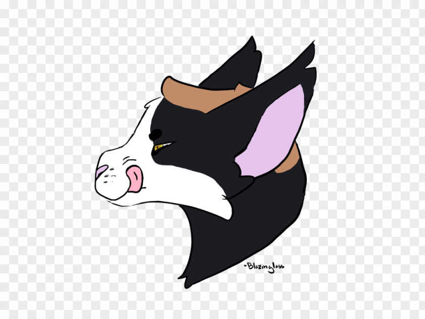 Cat Whiskers Bat Canidae Dog PNG