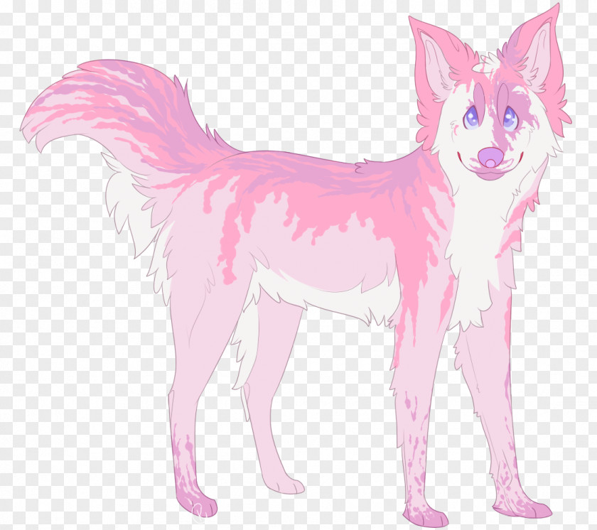 Cat Whiskers Red Fox Line Art PNG