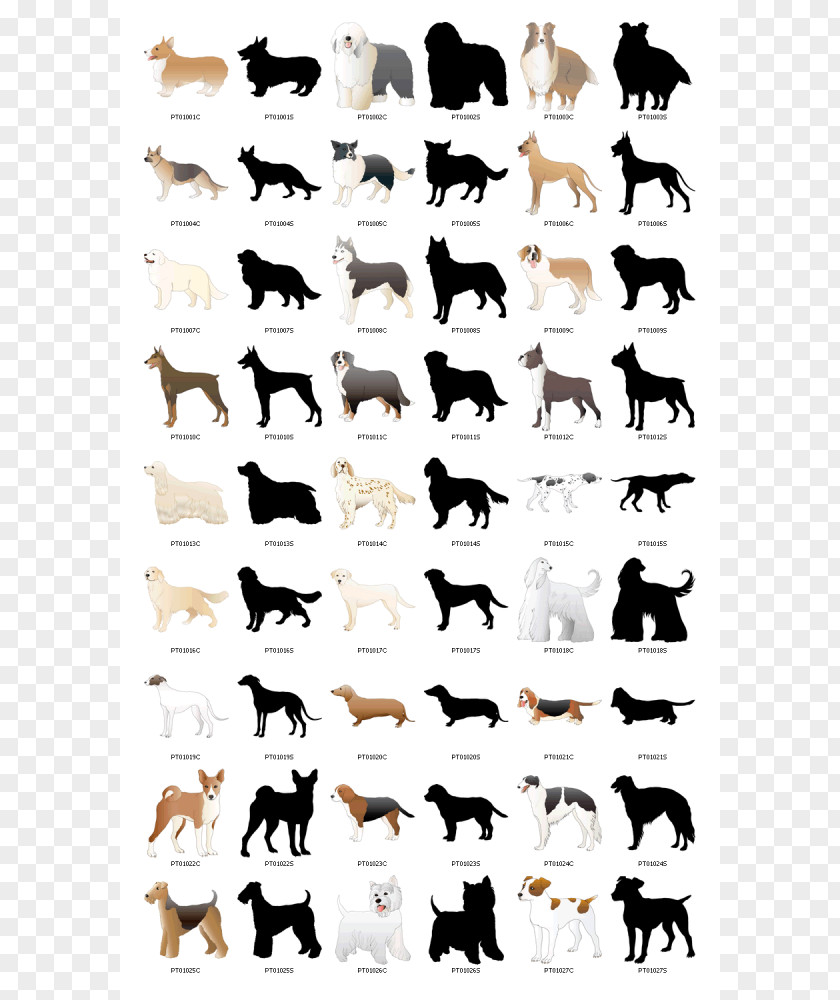 Free Pics Of Dogs FREE DOG IMAGES Clip Art PNG