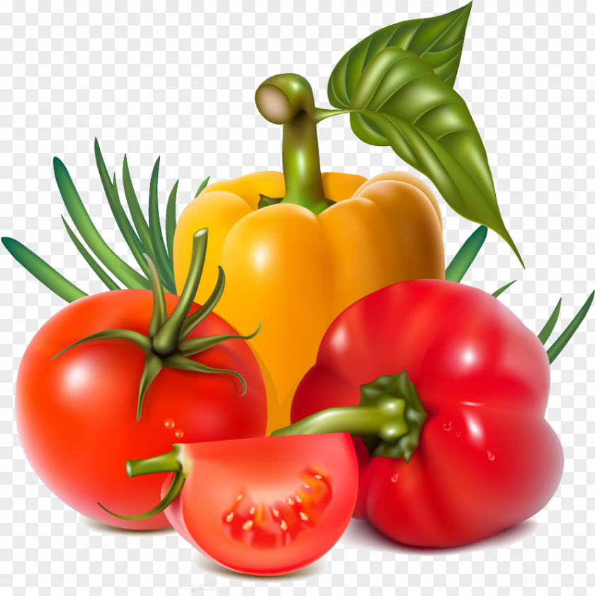 Tomato And Pepper Vegetable Clip Art PNG