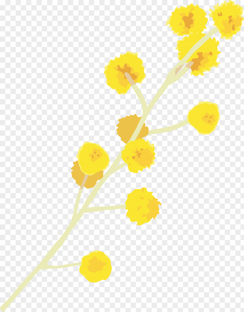 Yellow Flower Plant Pedicel Cut Flowers PNG