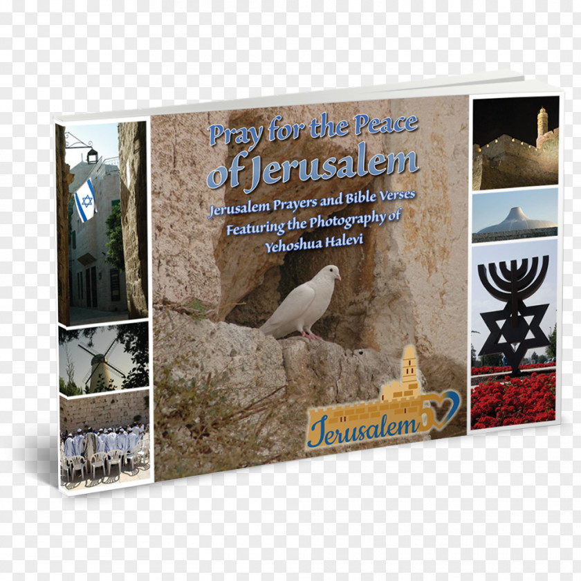 Bible Pray Land Of Israel Book Jerusalem Hardcover Hebrew Language PNG