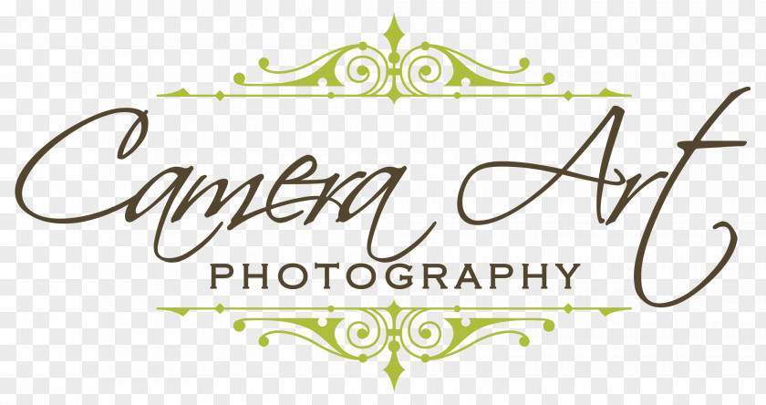 Camera Art Photographic Film Fine-art Photography Clip PNG
