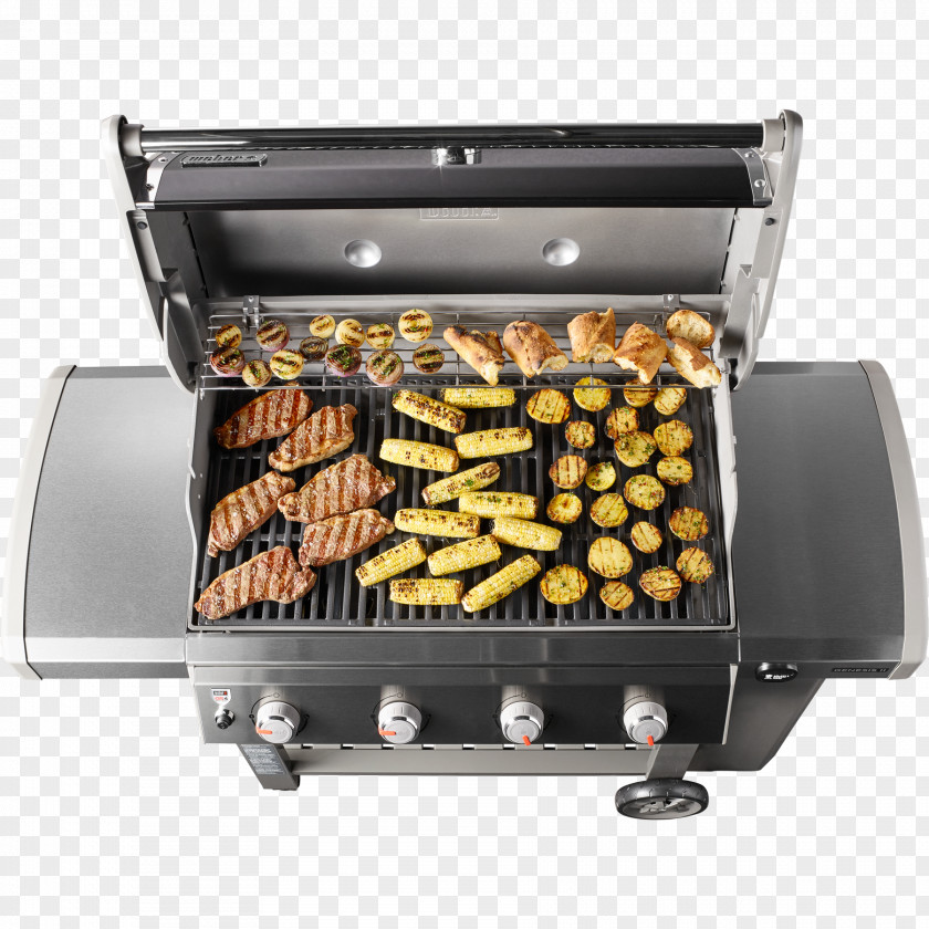 Grill Barbecue Weber-Stephen Products Natural Gas Liquefied Petroleum Gasgrill PNG