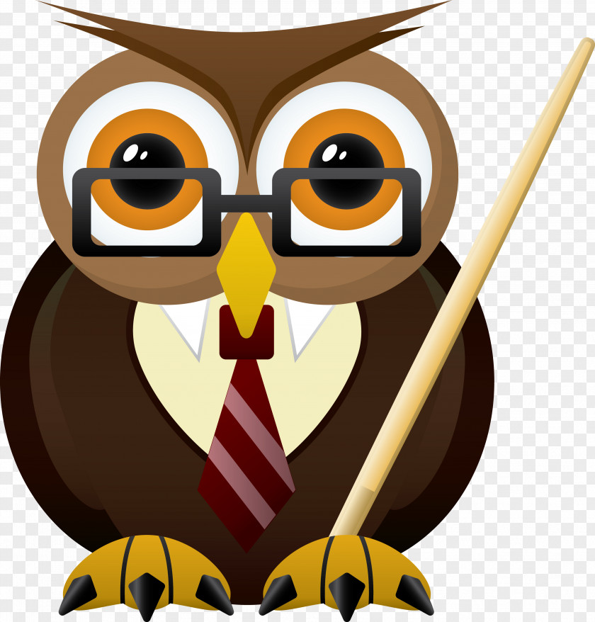 Owls Head Teacher School Student Clip Art PNG